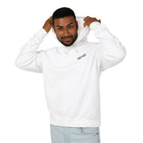 Beyond the Visible Unisex Lightweight Hoodie – Collage