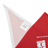 Cure HHT Fundraiser Pet Bandana — Red Dog & Cat Neck Scarf